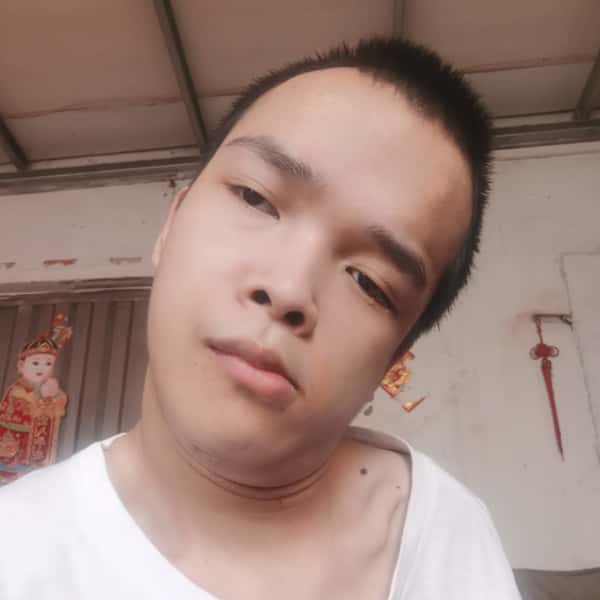 七台河征婚相亲网